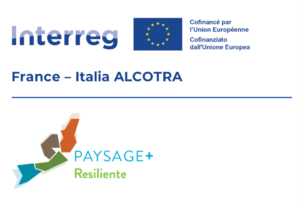 PAYSAGE+ RESILIENT 